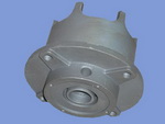 screw pump valve body casting
